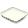Bagastro Suikerriet Bord Vierkant 12x12x1,5cm 40st.
