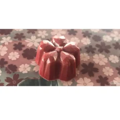 Bonbonvorm Chocolate World Sakura Origami (21x) 31x30x15mm