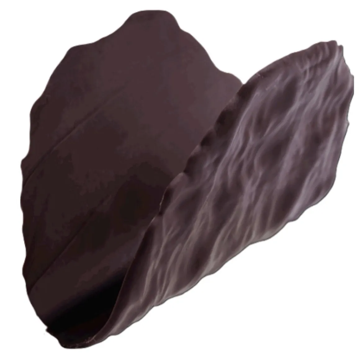 Callebaut Chocoladedecoratie Taco Puur 16st.