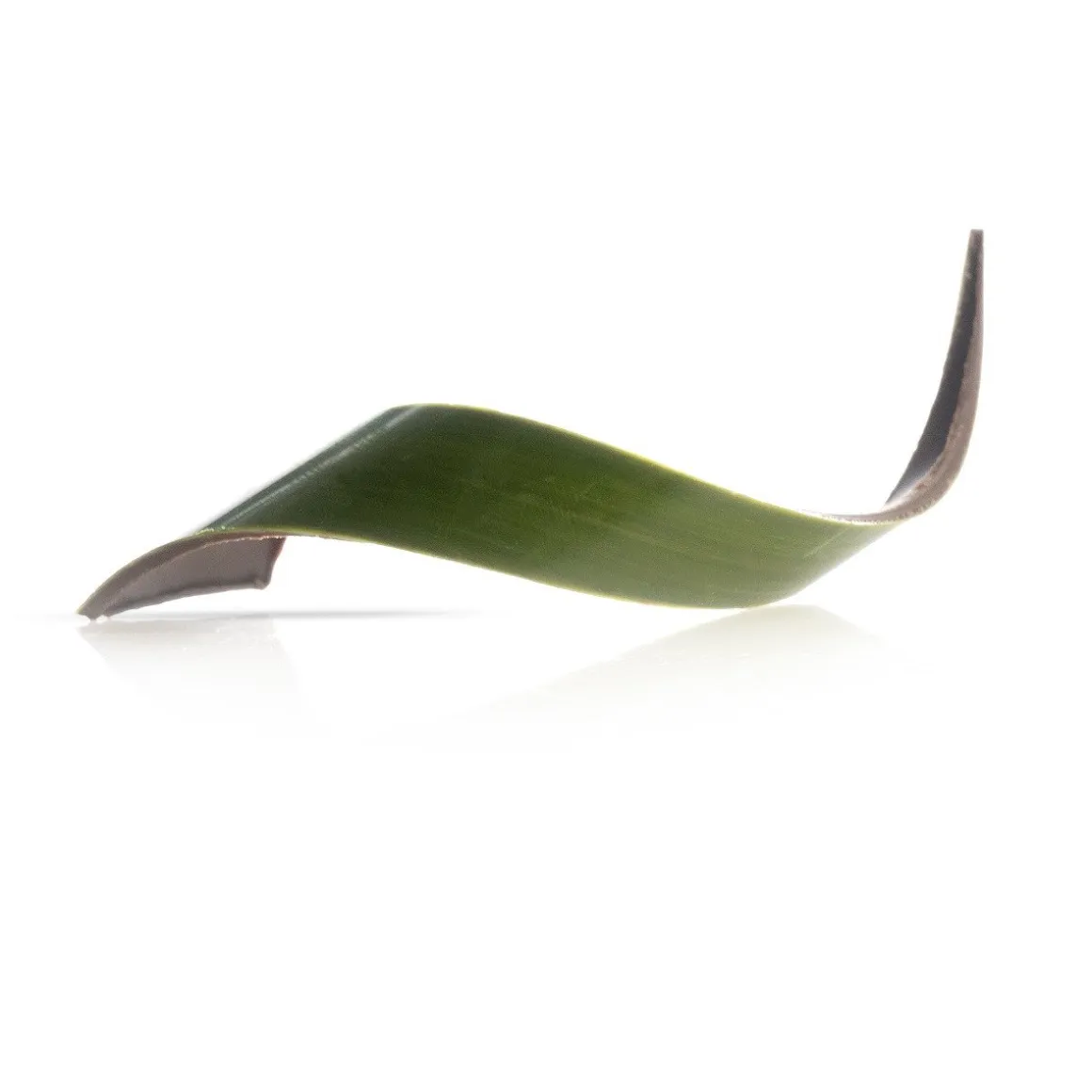 Dobla Chocoladedecoratie Blad Groen (80 stuks)
