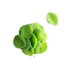 Dobla Chocoladedecoratie Blaadjes Mini Groen (1kg)