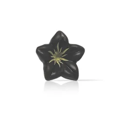 Dobla Chocoladedecoratie Bloem Donker (76 stuks)**