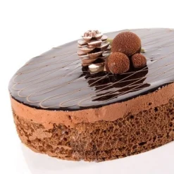 Dobla Chocoladedecoratie Dennenappel (18 stuks)
