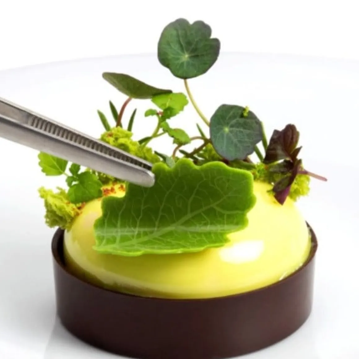 Dobla Chocoladedecoratie Gebogen Blad Groot (108 stuks)
