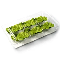 Dobla Chocoladedecoratie Lenteblad Groen (24 stuks)