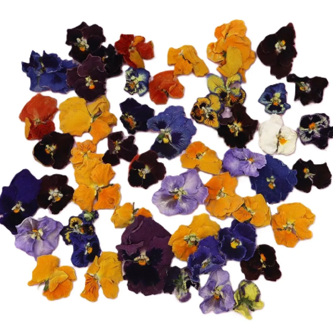 Eetbare Gedroogde Viooltjes (50 stuks)