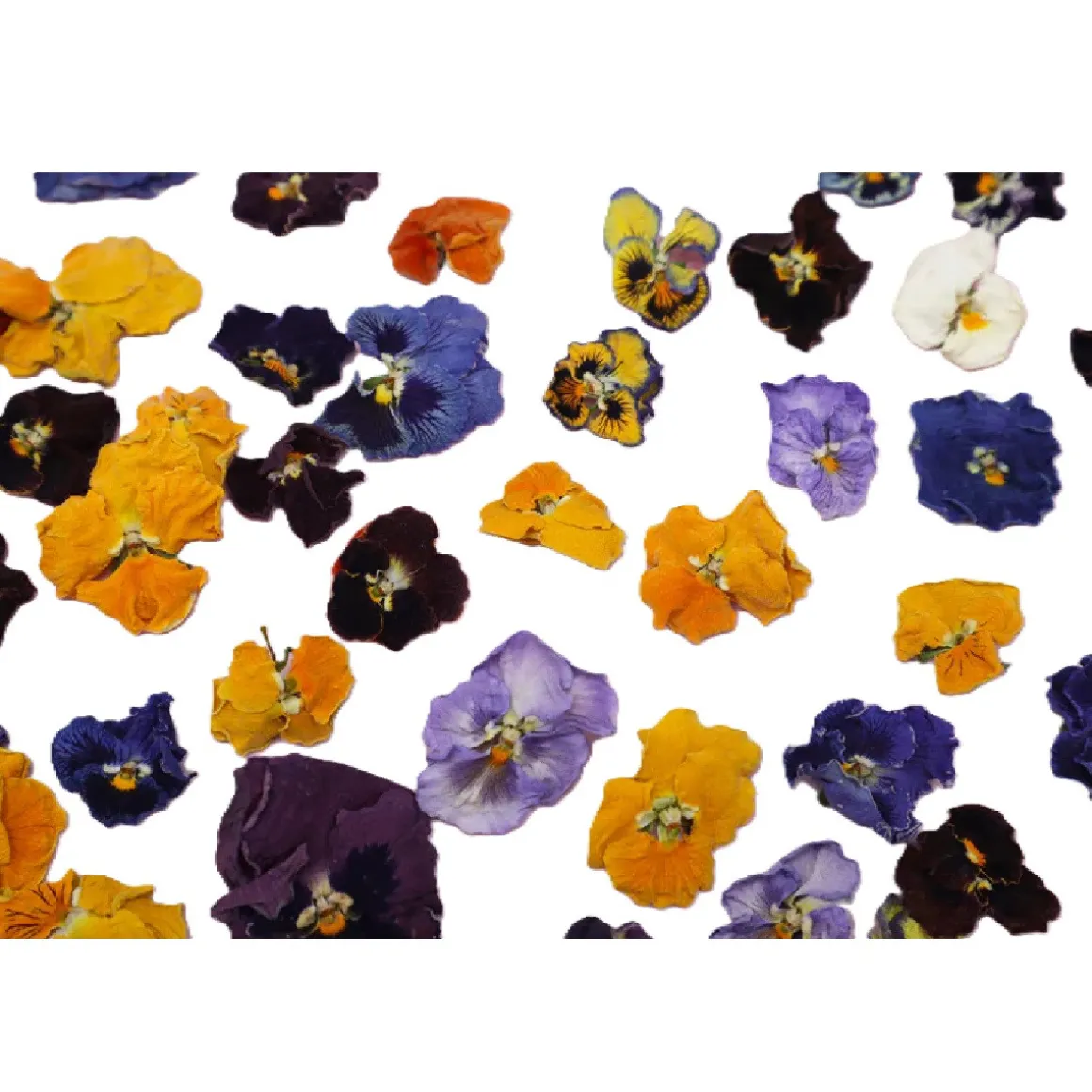 Eetbare Gedroogde Viooltjes (50 stuks)