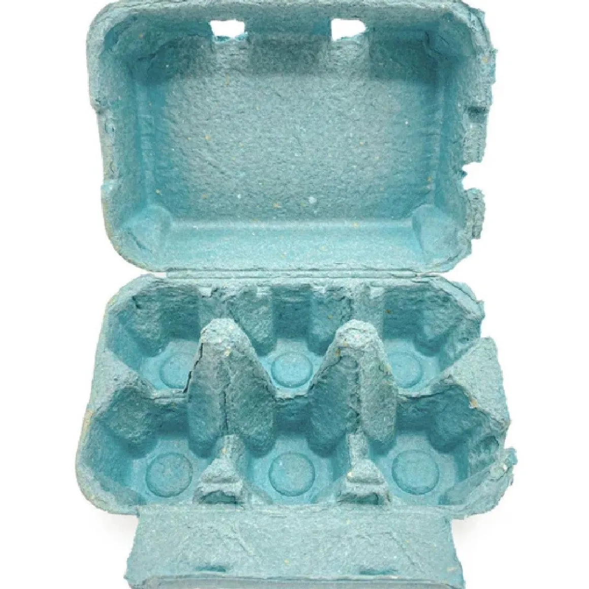 Eierdoos Blauw 6 Eieren