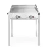 Hendi Green Fire 2 branders incl. 2 RVS GN 1/1 roosters