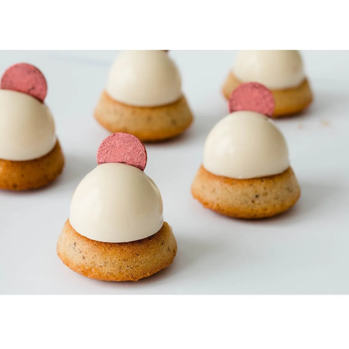 Irca Panna Cotta Mix 1kg