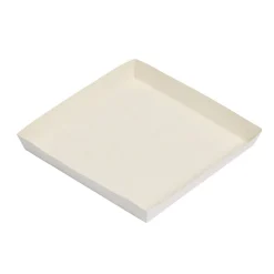 Kartonnen Schaal Conisch 19x19x2,5cm 300st.**