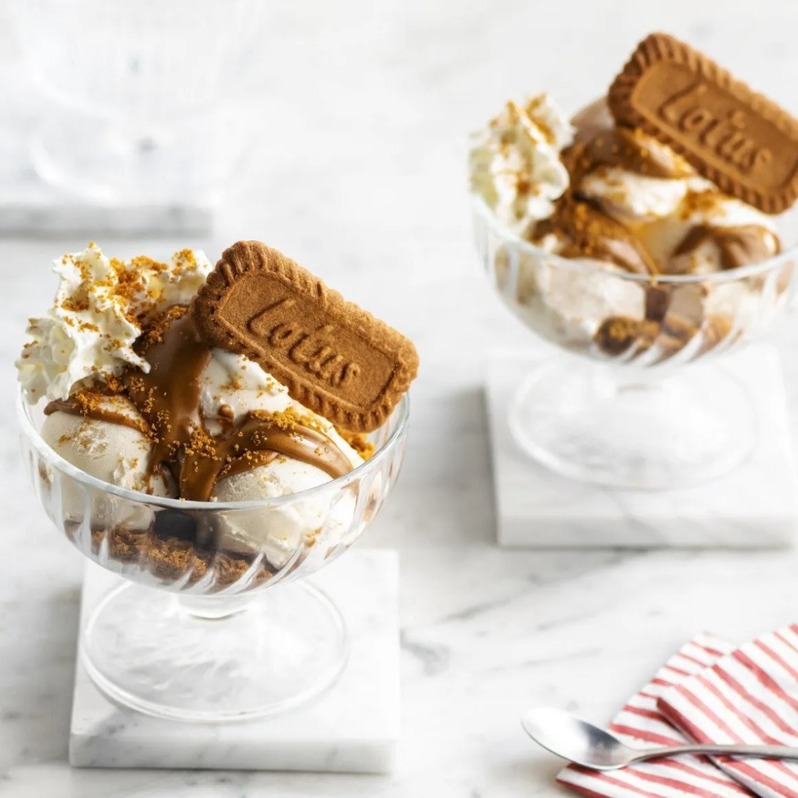 Lotus Biscoff Speculoos Koekjes 250g