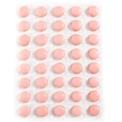 Macarons Aardbei Ø3,5cm 160st.