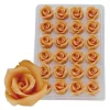 Marsepein Rozen Zalm 6-blads 25mm (24 st.)
