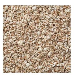 Molen de Hoop Gepofte Spelt 200g