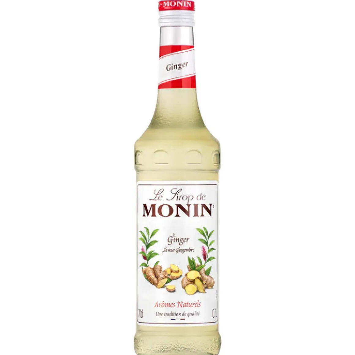 Monin Siroop Gember 700ml