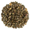 Nederlandse Pompoenpitten Caramel Zeezout 150g