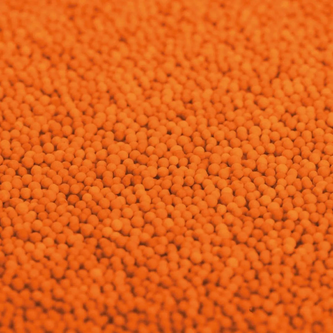 Njoy Musketzaad Oranje (1800g)