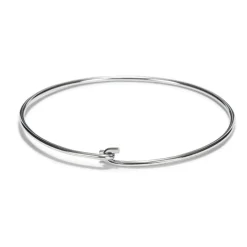 Patisse Ring t.b.v. Uitstekers RVS Ø12cm