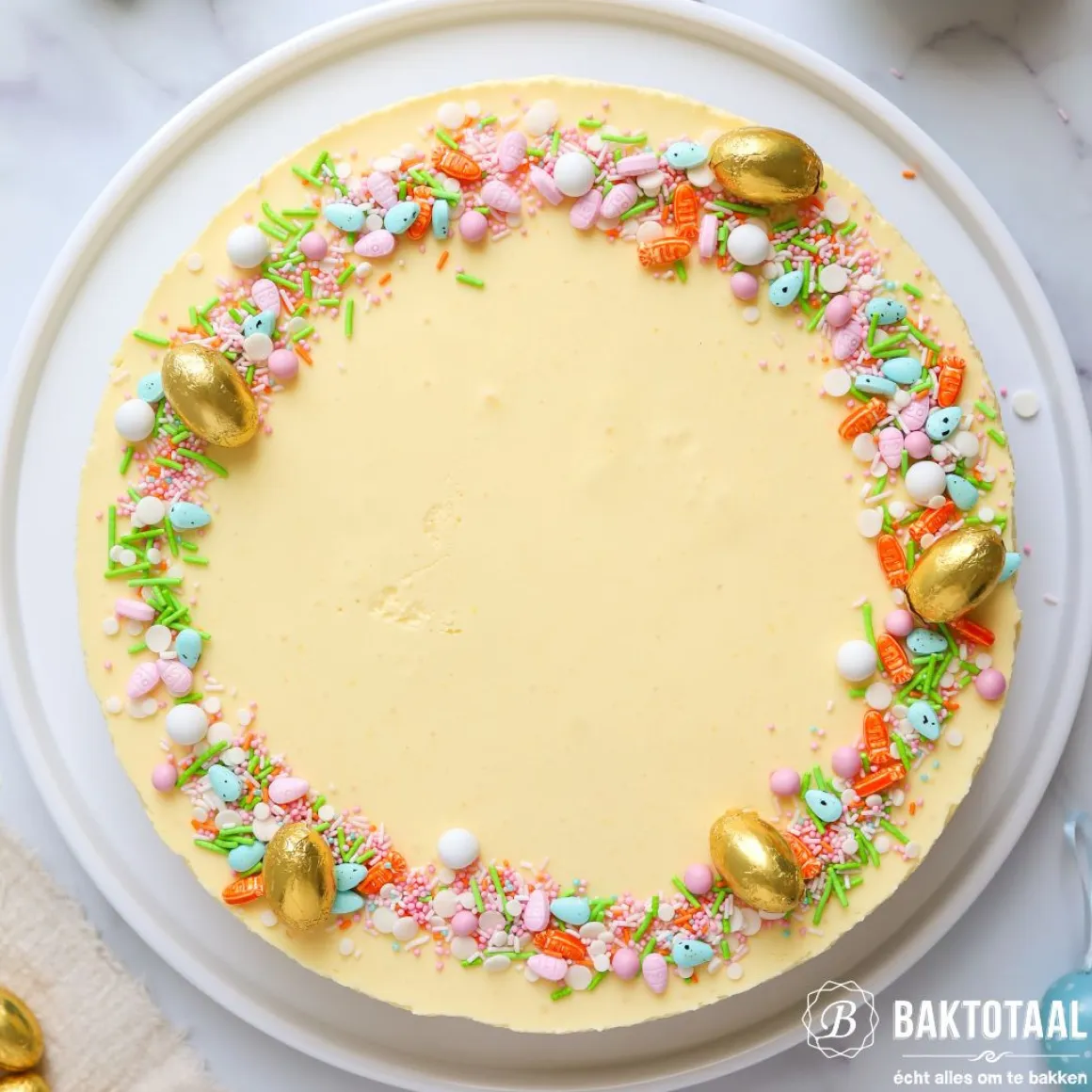 Patisse Springvorm met Lekvrije Bodem Profi Ø24cm