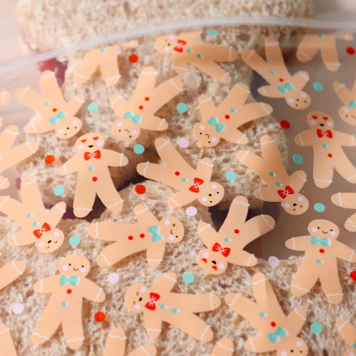 PME Hersluitbare Traktatiezakjes Gingerbread 20st