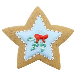 PME Koekjes Uitstekers Sterren Set/3