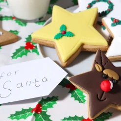 PME Koekjes Uitstekers Sterren Set/3