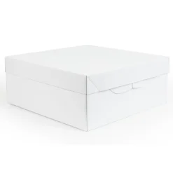 PME Taartdoos 20x20x15cm