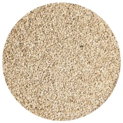 Sesamzaad Ongepeld Geroosterd 1kg