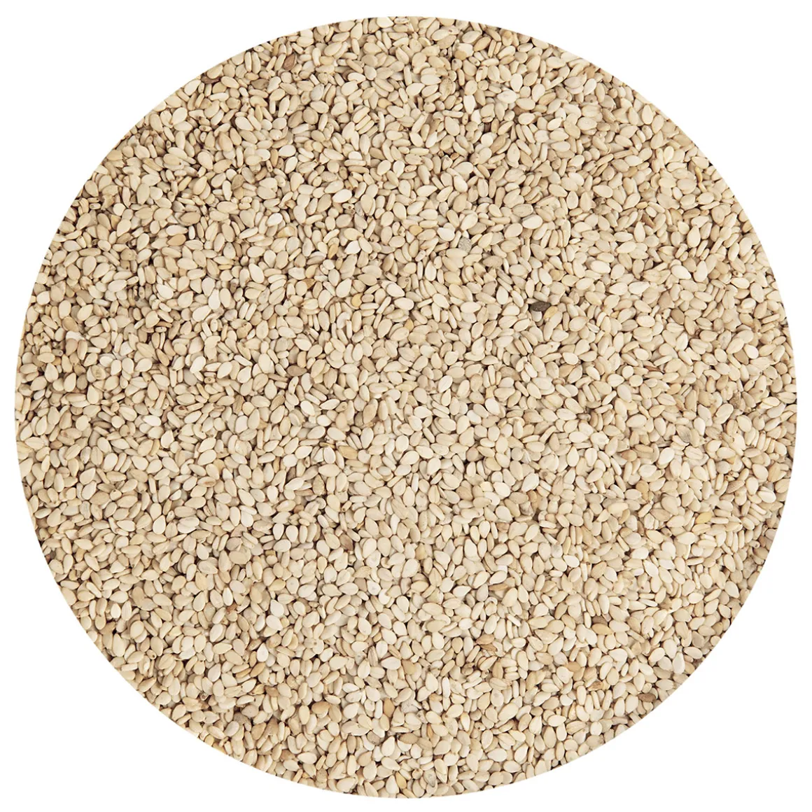 Sesamzaad Ongepeld Geroosterd 1kg