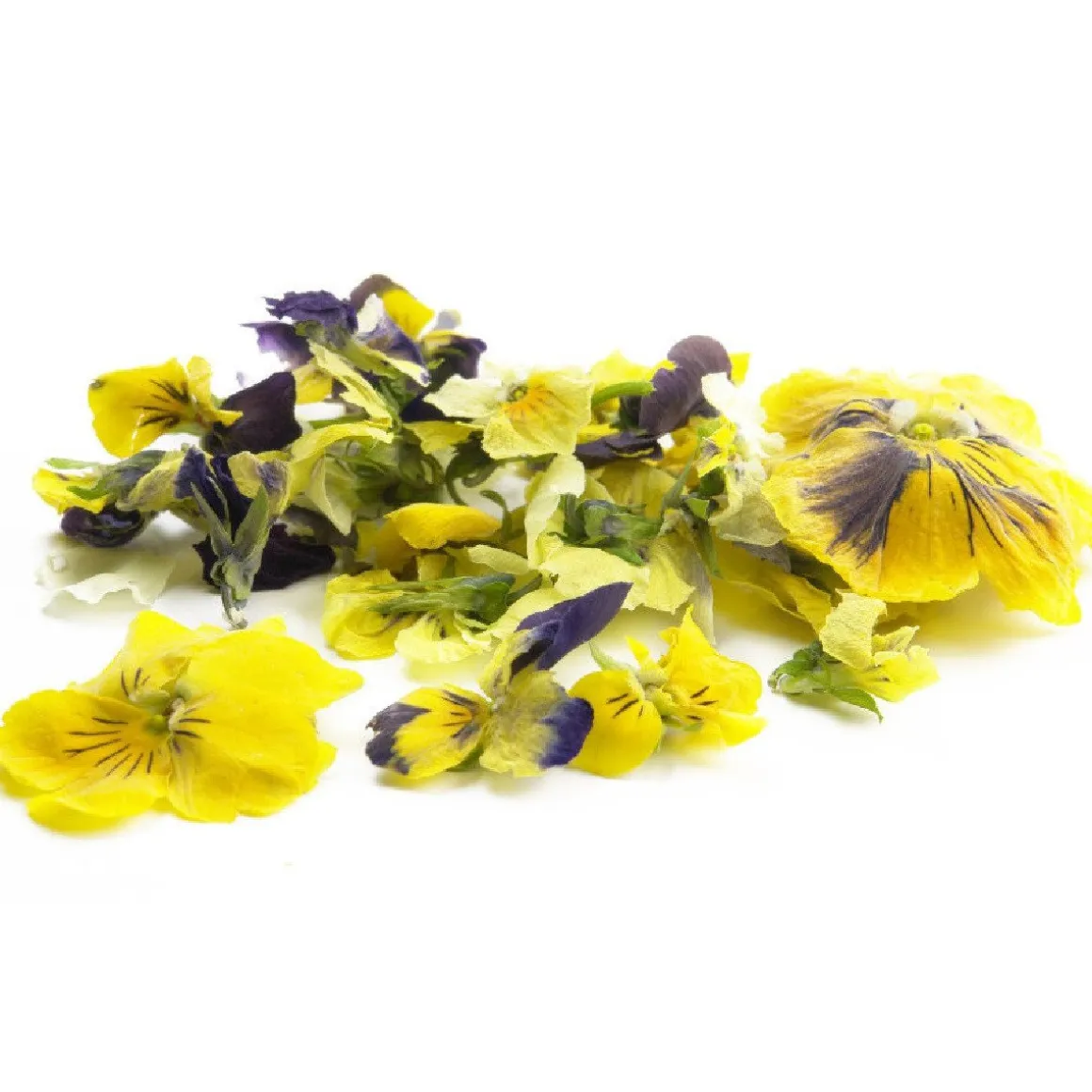Sosa Gevriesdroogde Violen 5g (290 stuks)