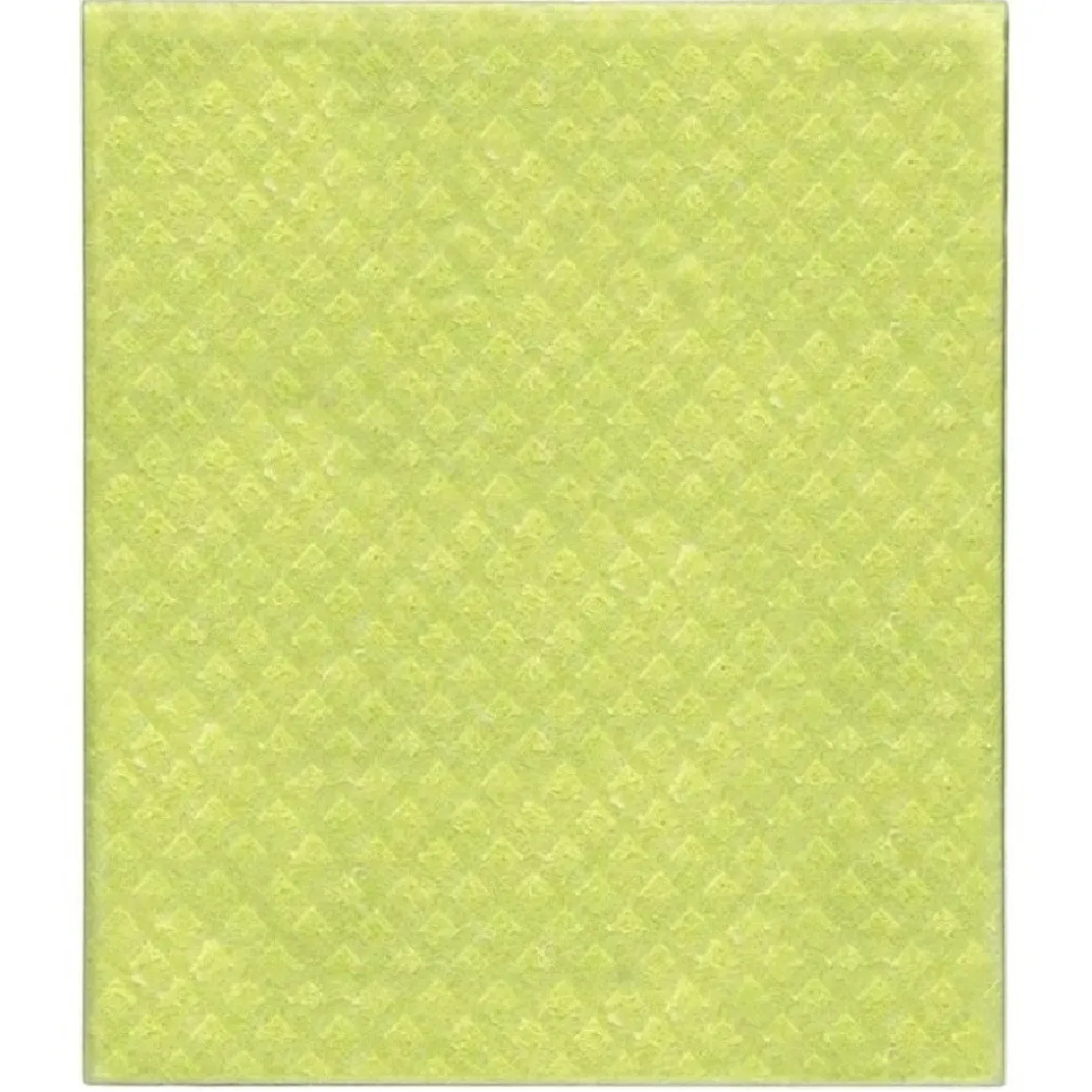 Sponsdoek Composteerbaar 20x17cm 5st.