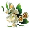 Suikerbloem Boeket Roos Perzik/Wit