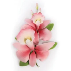 Suikerbloem Orchidee Roze 15cm