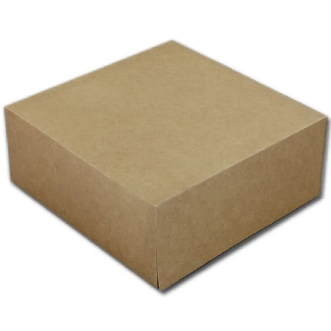 Taartdoos 19x19x8cm. Kraft 50st