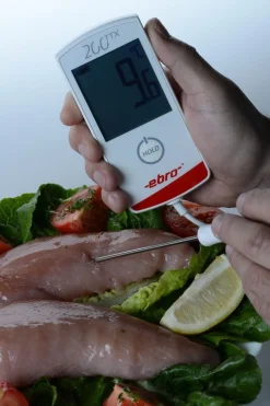 Thermometer Digitaal Geijkt -30 tot +200ºC Ebro TTX200