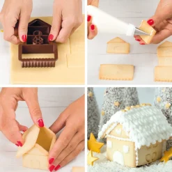 Uitsteker Koekjeshuis 3D