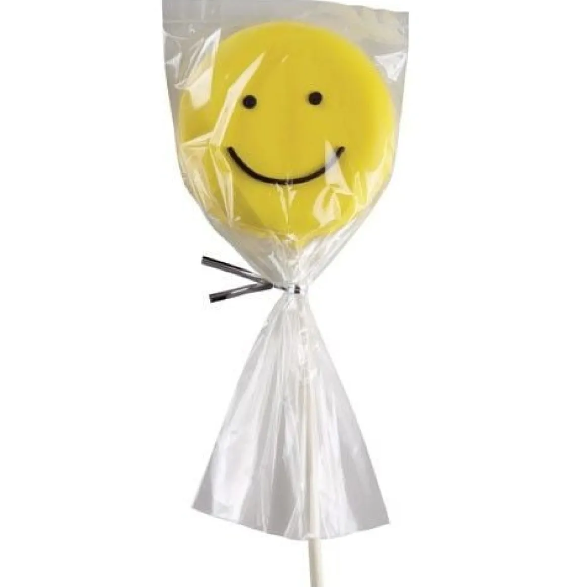 Wilton Cakepops / Lollipop zakjes 10x23cm 25st.
