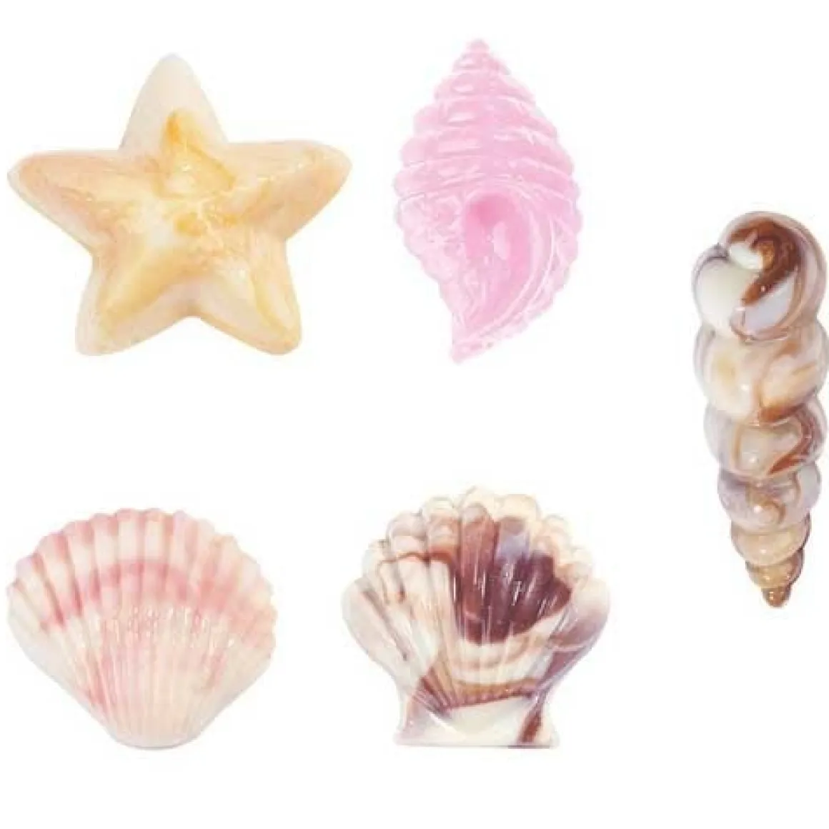 Wilton Chocolademal Schelpen (9x)