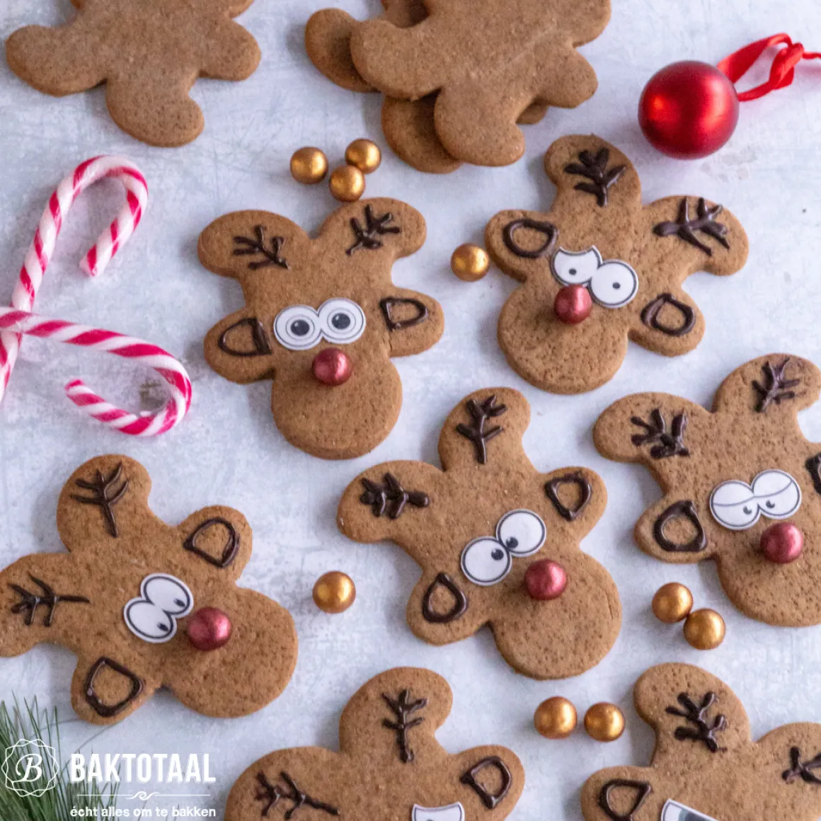 Wilton Grip Uitsteker Gingerbread