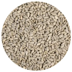 Zonnebloempitten 250g